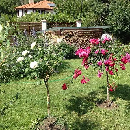 Zapovedni Rai Apartman Primorszko